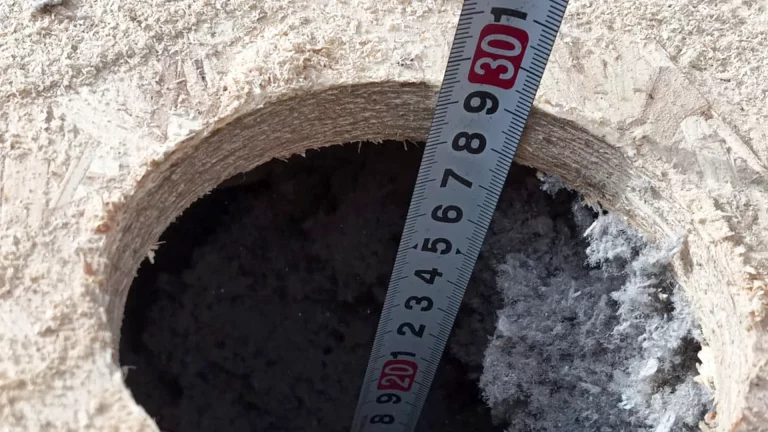 Celulosa como material aislante insuflado en tejado de madera para crear una manta de protección térmica y acústica de más de 25 centímetros.