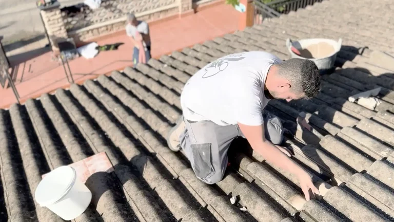 Cómo aislar una casa del calor en verano: por una vez, hay que empezar las casa por el tejado...