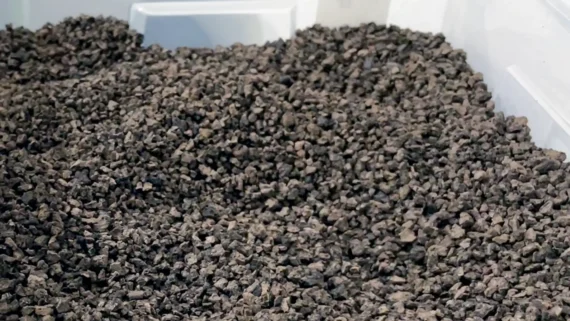 Aislantes naturales para aislamiento térmico: el corcho
